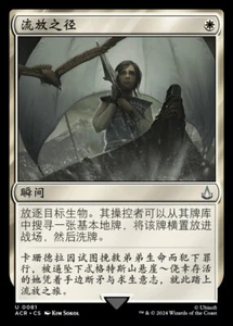Path to Exile (ZHS) - Foil ACR S-Chinese NM MTG - Picture 1 of 1