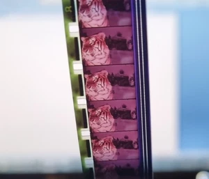 Brent System for Success ESSO 16mm Full Documentary Film Print Reel - Picture 1 of 4