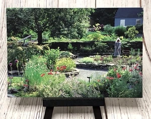 Herb Garden, Old Sturbridge Village, Sturbridge, Massachusetts MA Postcard - Picture 1 of 4