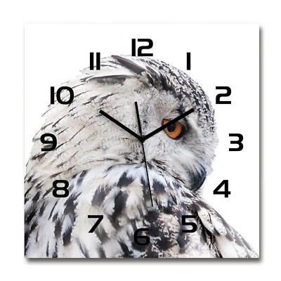 Tulup Horloge Murale En Verre 60x60 - Chouette Blanche - Photo 1/4