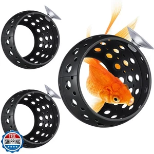 Honeydak 2 Piezas Bombilla Betta Ocultar Betta Pecera Adorno Accesorios Juguetes para Peces - Imagen 1 de 5