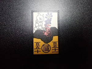 Pokemon Poker Spielkarte Hanafuda Shining Mew Mewtwo #2 NM/EX oder EX - Bild 1 von 22