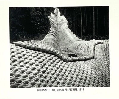 Toshio Shibata (n. 1949) Tarjeta de anuncio de arte 1996 - The Edge of Nature Foto 1 de 4