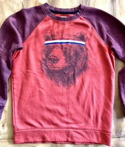 FUNNY CUTE BEAR SWEATSHIRT OLD NAVY RED MAROON *YOUTH LARGE* 10-12 ANIMALS CLEAN - Picture 1 of 3