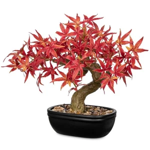 Bonsai di Acero Artificiale, Mini Pianta Bonsai Giapponese in Vaso di Ceramica, Finto... - Foto 1 di 8