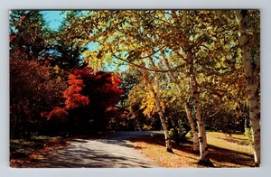 Harrisville WV-West Virginia, General Greetings, Antik, Vintage Postkarte - Bild 1 von 2