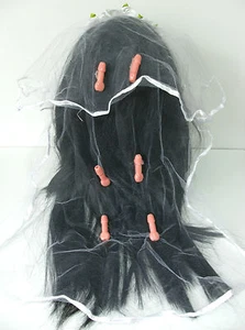 Bachelorette Bride to be, Hens Night Party Willy Penis Pecker Dicky Veil - Picture 1 of 3