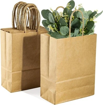 MAQIHAN Small Kraft Bags with Handles - Kraft Paper Bags Brown Kraft 12 Pack - Image 1 of 4
