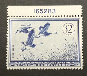 RW22 Bund Entenjagd Briefmarke mit Block #, postfrisch, OG, 1955 Briefmarken Sammlerstücke - Bild 1 von 2