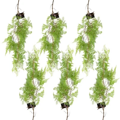 Artificial Hanging Maidenhair Fern 6x100cm Light Green Faux Leaf Garland Indoor - Image 1 of 4