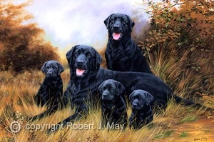 Original Black Labrador Painting by Robert J. May - Picture 1 of 1