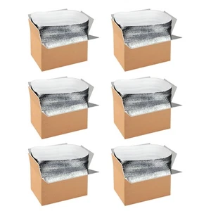 6 Pack Insulated Shipping Boxes with Aluminum Foil Liner,Thermal Insulation C... - Picture 1 of 8