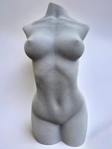 Female Torso Sculpture – Minimalist Body Art – 3D Printed Statue – Modern Home - Picture 1 of 11