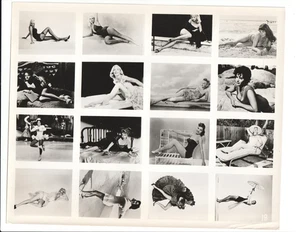 HOLLYWOOD  STARLETS " pin-up/bathing suits" COMPOSITE 1950s mail-out PHOTO sheet - Picture 1 of 2