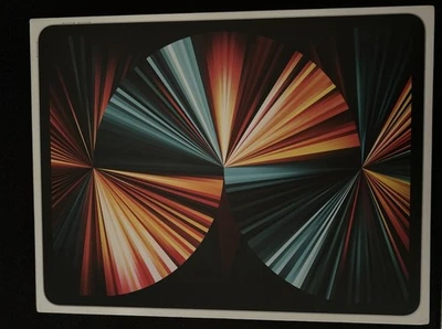 Apple iPad Pro 12,9 Zoll 5. Generation 128 GB Defekt - Bild 1 von 4