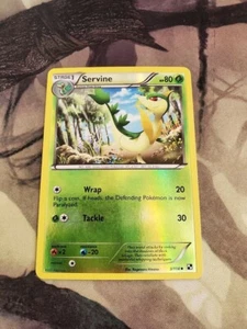 Pokemon - Servine 3/114 Reverse Holo Black and White Base NM - Picture 1 of 2