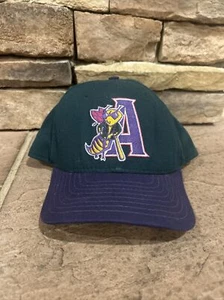 Vintage Augusta GreenJackets MiLB New Era Pro Model Snapback Hat Cap Made in USA - Picture 1 of 8