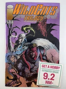 Wildcats Trilogy #1 Jae Lee Foil 1st Print (1993 Image) NM- $9.99 Max Shipping - Picture 1 of 5