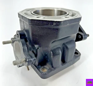 90-93 ARCTIC CAT 440 PANTERA CHEETAH COUGAR CYLINDER ASSEMBLY 3003-642 - Picture 1 of 4