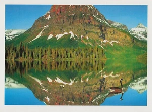 Postal MT Sinopah Mtns Glaciar Nat'l Park Rockies Tim Fitzharris Foto COMO NUEVA - Imagen 1 de 1
