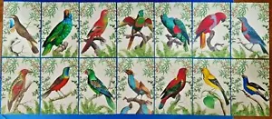 Set of 14 NEW Art Tropical Bird Postcards, Postcrossing, Postcardsofkindness QG2 - Picture 1 of 5