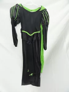 Girls Wicked Witch of the West Costume Dress Black/ Green Wizard of Oz Size 8-10 - Picture 1 of 2