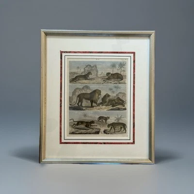 古董带框雕刻,老虎、狮子、猛禽和豹子,作者 George Heck,C 1850 — 第 1/4 张图片