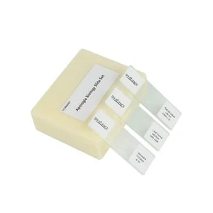 Prepared Apologia Biology Microscope Slides Set, Pack of 16pcs Specimens Spec... - Picture 1 of 8