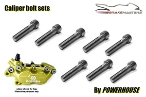 Ducati 916 inc S SP SPS Stainless joint bolt set Brembo front brake calipers - Picture 1 of 1