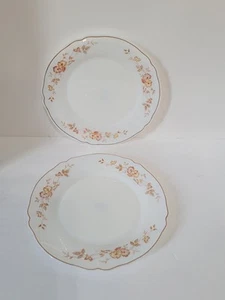 Vintage Arcopal ARC France Floral gewellt 2 Teller opak Milchglas - Bild 1 von 4