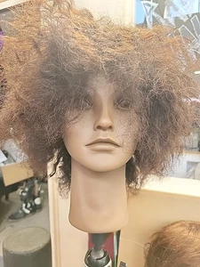 Female Mannequin Head Destiny 100% Human Hair Retail $99 NWT - Picture 1 of 5