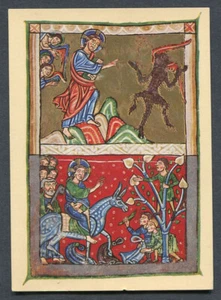 Germany - BRD : Card from 1961 - Garden exhibition - Freiburg cancel - Picture 1 of 2