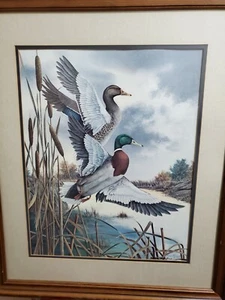 Pat Ford Autumn Flight - Picture 1 of 6