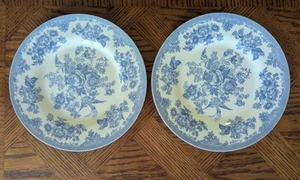 Pair Of Royal Stafford Dinner Plate Asiatic Pheasant Powder Blue 8-3/8" Salad... - Picture 1 of 3