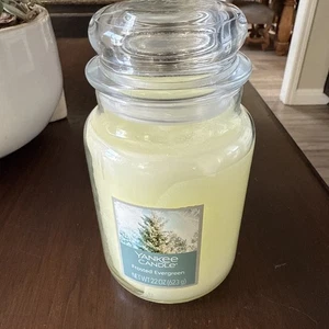 Yankee Candle Frosted Evergreen grand pot en verre 22 oz bougie parfumée NEUF RARE - Photo 1/5
