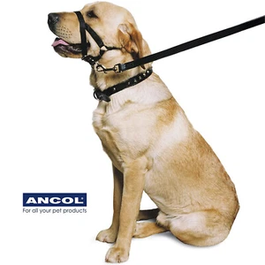 Arnés de nailon halter collar cabeza perro Ancol sin tirar Halti entrenador varios tamaños - Imagen 1 de 9