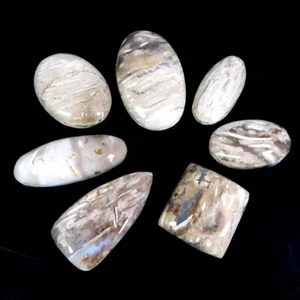 VERSTEINERTE PALME Achat Mix Cabochon Großhandel 7 Stck. NATÜRLICH lose Edelstein 111,7 Karat - Bild 1 von 3