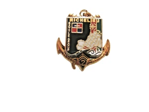 PINS TROUPES DE MARINE 2° RIMa BATTLE GROUP RICHELIEU OPEX AFGHANISTAN 2010-2011 - Picture 1 of 2
