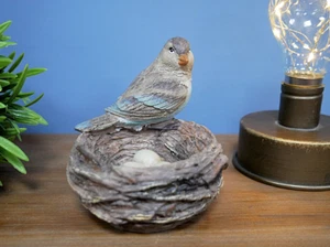 New Bird Nest Ornament Bowl Detailed Indoor Home Decoration British Wildlife - Picture 1 of 4