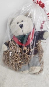 Starbucks 2017 Bearista 9 Zoll Plüschbär männlich Weihnachten 135. Edition Kollektion - Bild 1 von 5