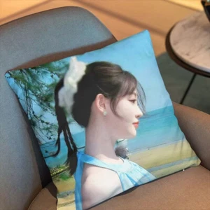 Zhu Xudan Pillow Bedroom Cushion 40*40cm - Picture 1 of 1