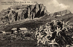 TRENTO Provincia - Rifugio Alpino Passo Sella - Stelle Alpine - VG + Timbro - #8 - Imagen 1 de 2