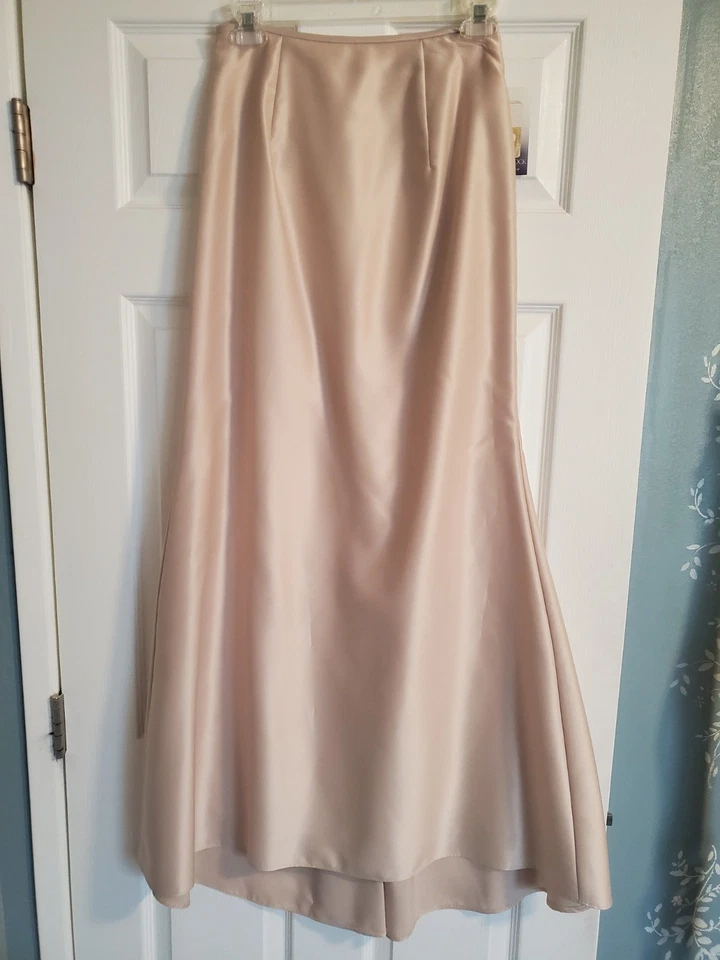 Falda Larga Jessica McCLINTOCK Champagne ¡NUEVA CON ETIQUETAS! Talla 6 Foto 1 de 1