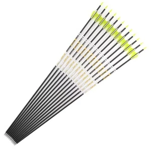 12pcs Carbon Arrow Shafts Archery Sp350-900 ID4.2mm Compound Recurve Bow Hunting - Picture 1 of 5