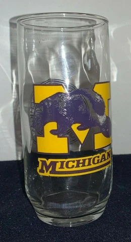 UNIVERSITY of MICHIGAN Wolverine  6" Tall Drinking Glass TUMBLER Cover