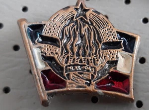 Socialist Republic Yugoslavia 29. 11. 1943 coat of arms flag Yugoslavia pin - Picture 1 of 1