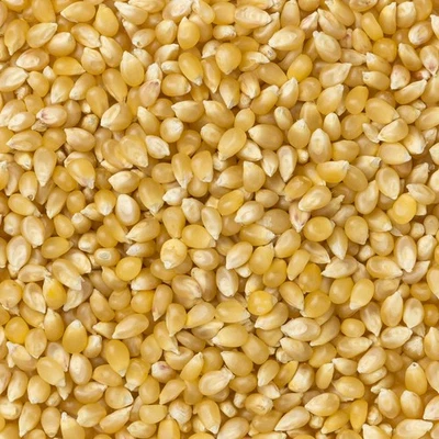 Amish Country Popcorn - Medium White Hulless Popcorn - Image 1 of 2