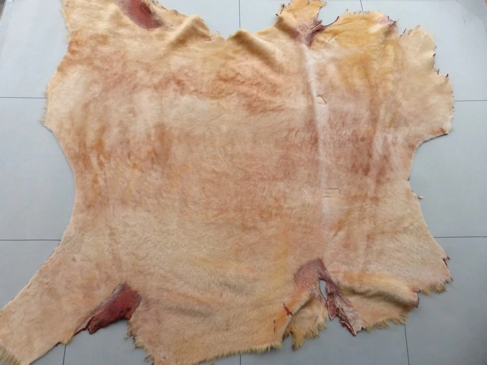 мериносовая овчина стриженая кожа тонкая шкура пестрая светло-оранжевая супер шелковистая - Изображение 1 из 4