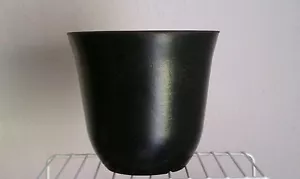 Biodegradable Pot, 4 Pack, 6" - Picture 1 of 2