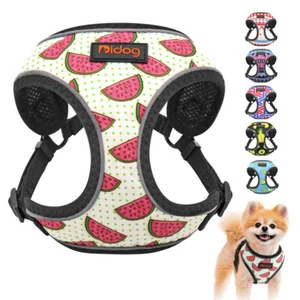 Breathable Mesh Puppy Dog Harness Reflective Pet Cat Walking Vest Jack Russell - Picture 1 of 15